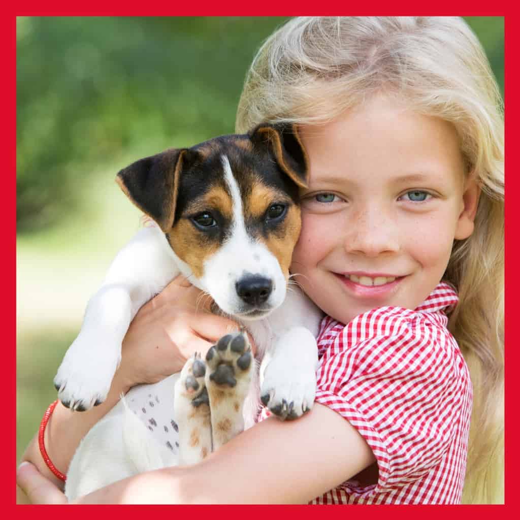 Top 10 Reasons You Need To Get a Pet For Your Kids - Darling Steps